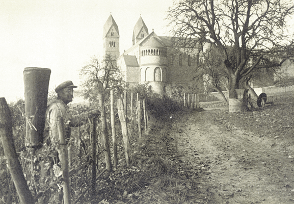 BT-WegWeinbau